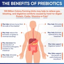 wholesome-wellness-organic-raw-probiotic-6.jpg