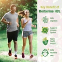 berberine-supplement-1500mg-premium-berb-5.jpg