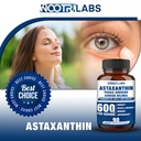 astaxanthin-15mg-panax-ginseng-ginkgo-bi-5.jpg