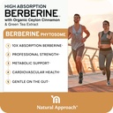 high-absorption-berberine-phytosome---10-2.jpg