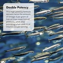 double-potency-fish-oil-pure-by-irwin-na-4.jpg