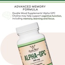 alpha-gpc-choline-brain-supplement-for-a-4.jpg