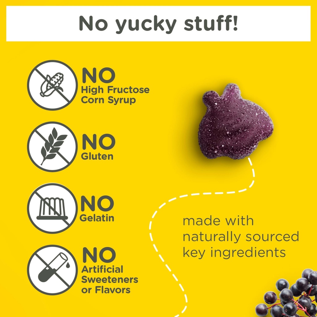 zarbee-s-elderberry-gummies-for-kids-imm-3.jpg