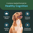 vetriscience-veterinary-strength-healthy-4.jpg