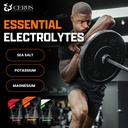 cerus-performance-electrolyte-powder-tan-4.jpg