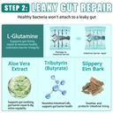 gut-health-capsule-supplement-supports-m-5.jpg