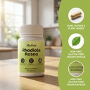 holior-rhodiola-rosea-capsules-rhodiola--2.jpg