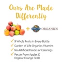 garden-of-life-organics-turmeric-inflamm-4.jpg