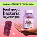 lemme-fiber-probiotic-gummies-for-adults-6.jpg