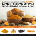 turmeric-curcumin-supplement-2000mg-orga-3.jpg