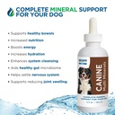 beam-minerals-complete-canine-multi-mine-5.jpg