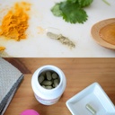 neuroscience-digest-dtx-gut-health-and-i-6.jpg