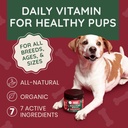 premium-dog-multivitamin-supplement-170--2.jpg