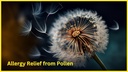 medplus-allergy-relief-medicine-diphenhy-5.jpg