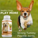 amazing-turmeric-for-dogs-curcumin-pet-a-4.jpg