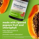 papaya-enzyme-wchlorophyll-chewable-tabl-5.jpg