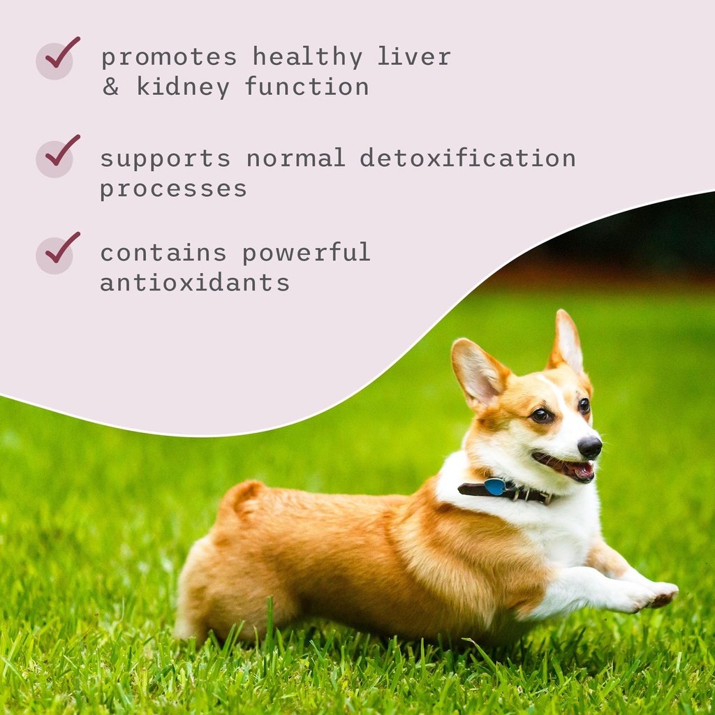 bark-whiskers-detox-support-helps-suppor-5.jpg