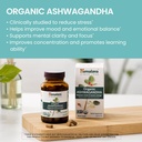 himalaya-organic-ashwagandha-root-30-day-2.jpg