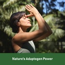glowever-ksm-66-ashwagandha-supplements--6.jpg