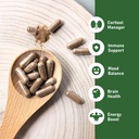 glowever-ksm-66-ashwagandha-supplements--4.jpg
