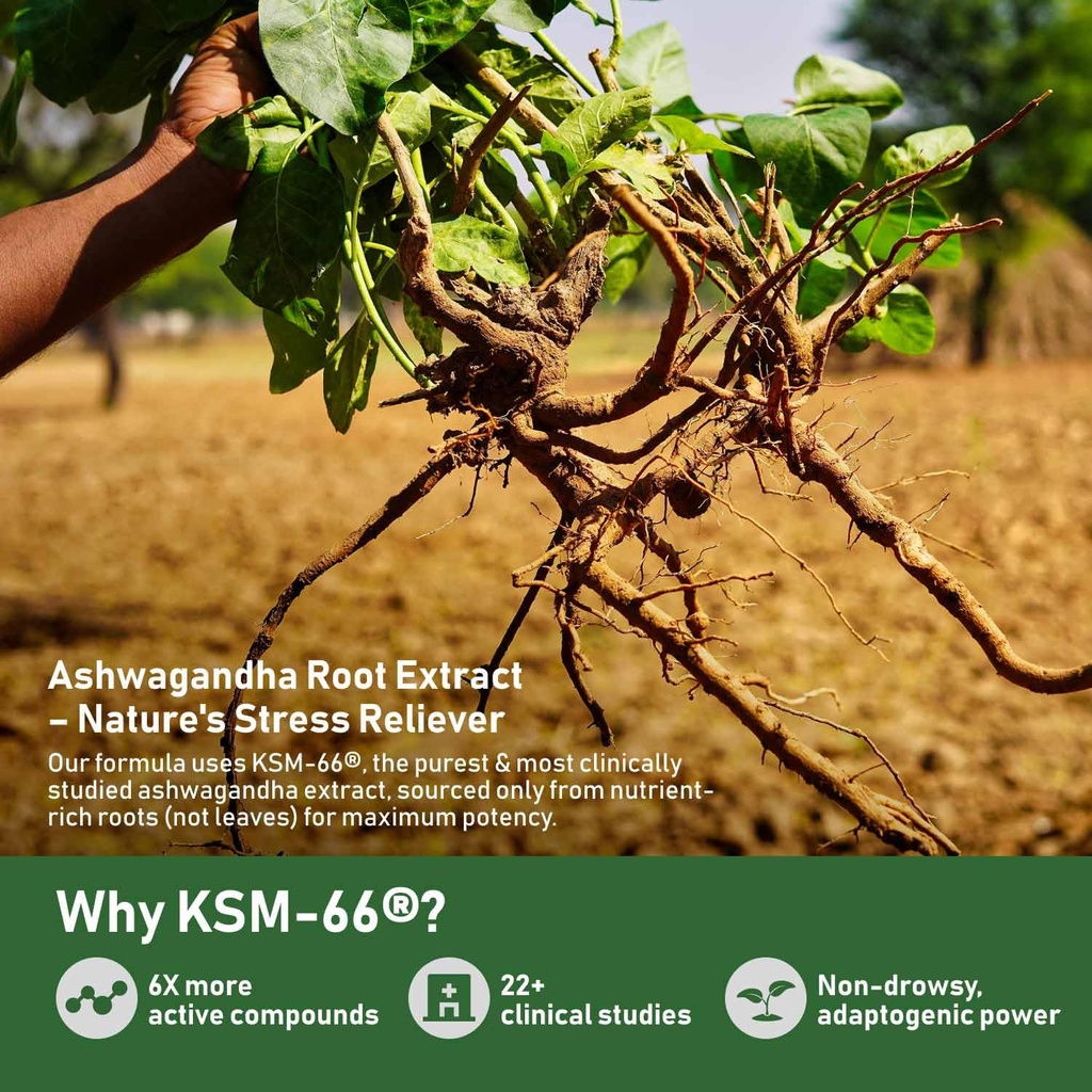 glowever-ksm-66-ashwagandha-supplements--5.jpg