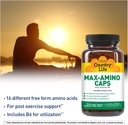 country-life-maxi-amino-with-16-free-for-3.jpg