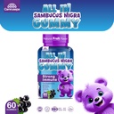 all-in-sambucus-nigra-gummy-for-kids-nat-2.jpg