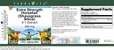 extra-strength-horsetail-shavegrass-sili-3.jpg