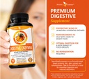 potent-garden-digestive-enzymes-18-plant-4.jpg