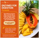 potent-garden-digestive-enzymes-18-plant-2.jpg