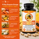 potent-garden-digestive-enzymes-18-plant-6.jpg
