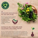 herbal-c-capsule-vitamin-c-supplements-a-5.jpg