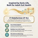gut-health-gut-barrier-function-epitheli-6.jpg