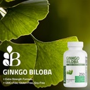 bronson-ginkgo-biloba-extra-strength-sup-3.jpg