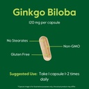 bestvite-ginkgo-biloba-120mg-240-capsule-4.jpg