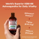 ksm-66-ashwagandha-liquid-drops-vegan-gm-2.jpg
