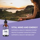 vimergy-organic-zinc-supplements-for-wom-2.jpg