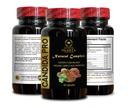 candida-pro-complex-gut-flora-balance-di-5.jpg