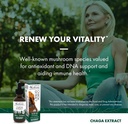 host-defense-chaga-extract---immune-syst-5.jpg