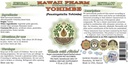 hawaii-pharm-yohimbe-alcohol-free-liquid-2.jpg