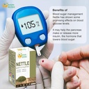 herbs-botanica-nettle-leaf-for-tea-cut-a-5.jpg