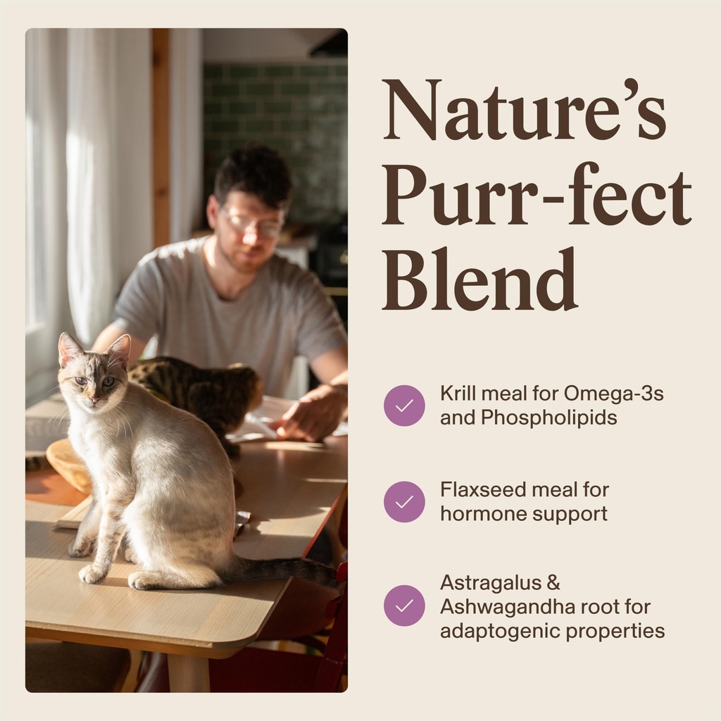 real-mushrooms-cat-supplement-powder-org-4.jpg