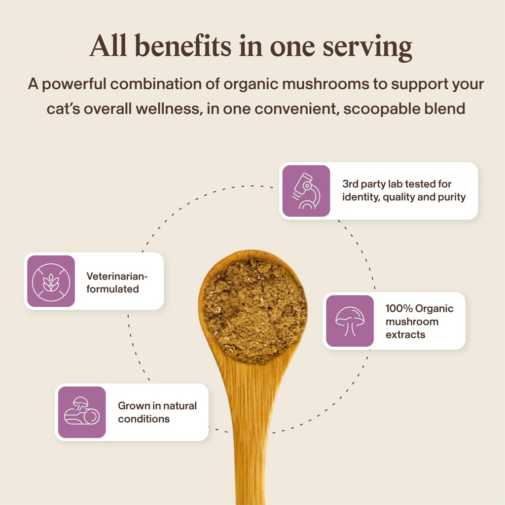 real-mushrooms-cat-supplement-powder-org-6.jpg