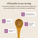 real-mushrooms-cat-supplement-powder-org-6.jpg