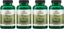 Swanson Full Spectrum Ingveri juur 540 mg 100 kapslit (4 pakendit)