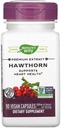 Nature's Way Hawthorni marjad, 90 kapslit (pakk 2)
