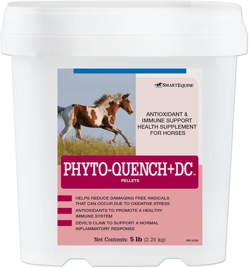 Phyto-Quench + DCTM Pellets | Põhjalik hobuste immuuntoetus E-vitamiini ja taimsete antioksüdantide lisahobustega | 5 lb Bucket