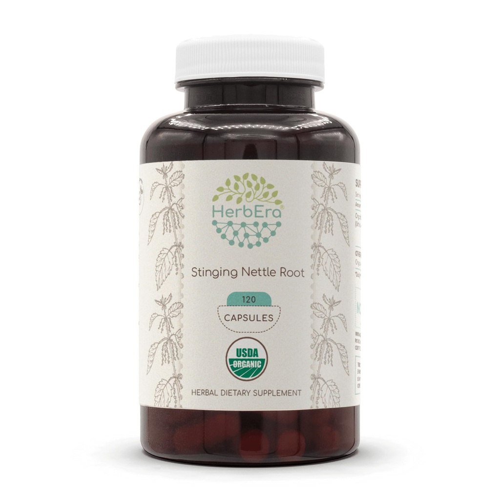 HerbEra Stinging Nettle Juur USDA Orgaaniline 120 Kapsel | Looduslik Taimne Täiendus | Sertifitseeritud Orgaanilised Taimekapslid ja Orgaaniline Stinginging Nettle (Urtica Dioica) Kuivatatud Juur (120 kapslit)