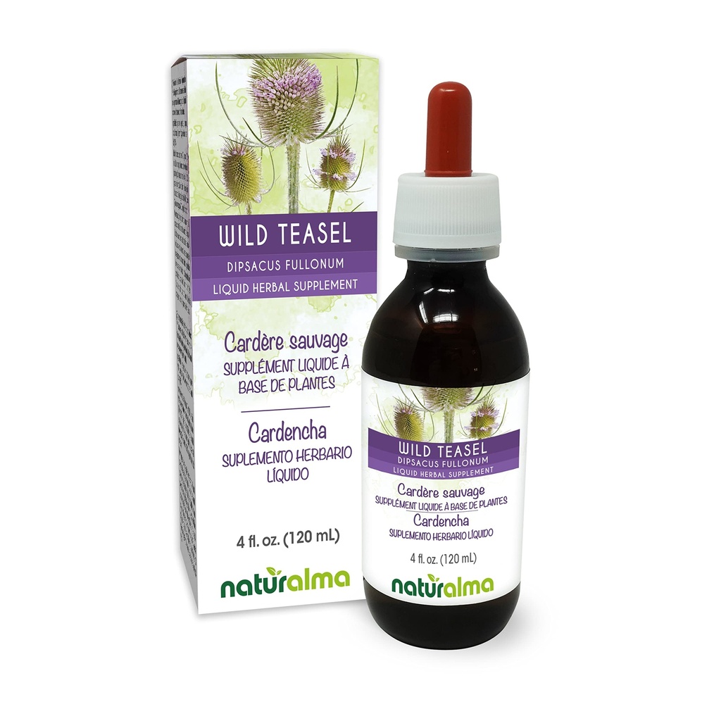 Naturalma Wild Teasel või Fuller's Teasel (Dipsacus fullonum või D. sylvestris) Juur Alkoholivaba tinktuur - 4 fl oz Vedel ekstrakt tilkadena - Taimne täiendus - Vegan