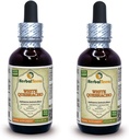 Valge Quebracho (Aspidosperma Quebracho-Blanco) tinktuur, kuivatatud koorepulber Vedelikekstrakt (Brand Name: HerbalTerra, Proudly Made in USA) 2x2 fl.oz (2x60 ml)